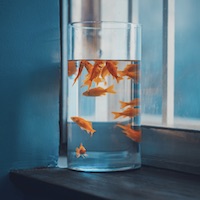 Avatar của người chơi Mai Xuân Trang